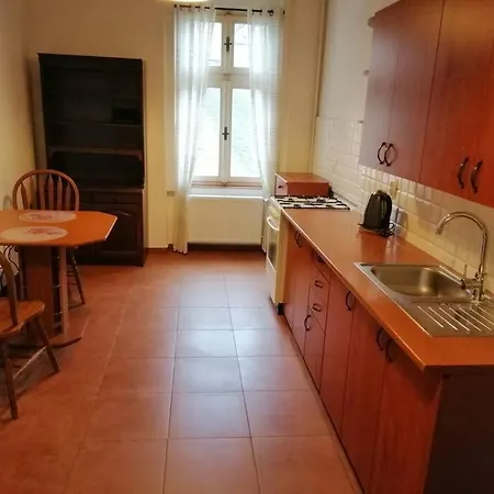 Apartment In City Center Karlovy Vary Exterior photo