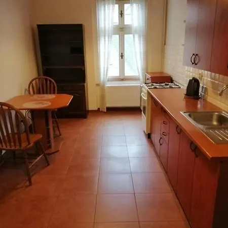 Apartment In City Center Karlovy Vary Exterior photo